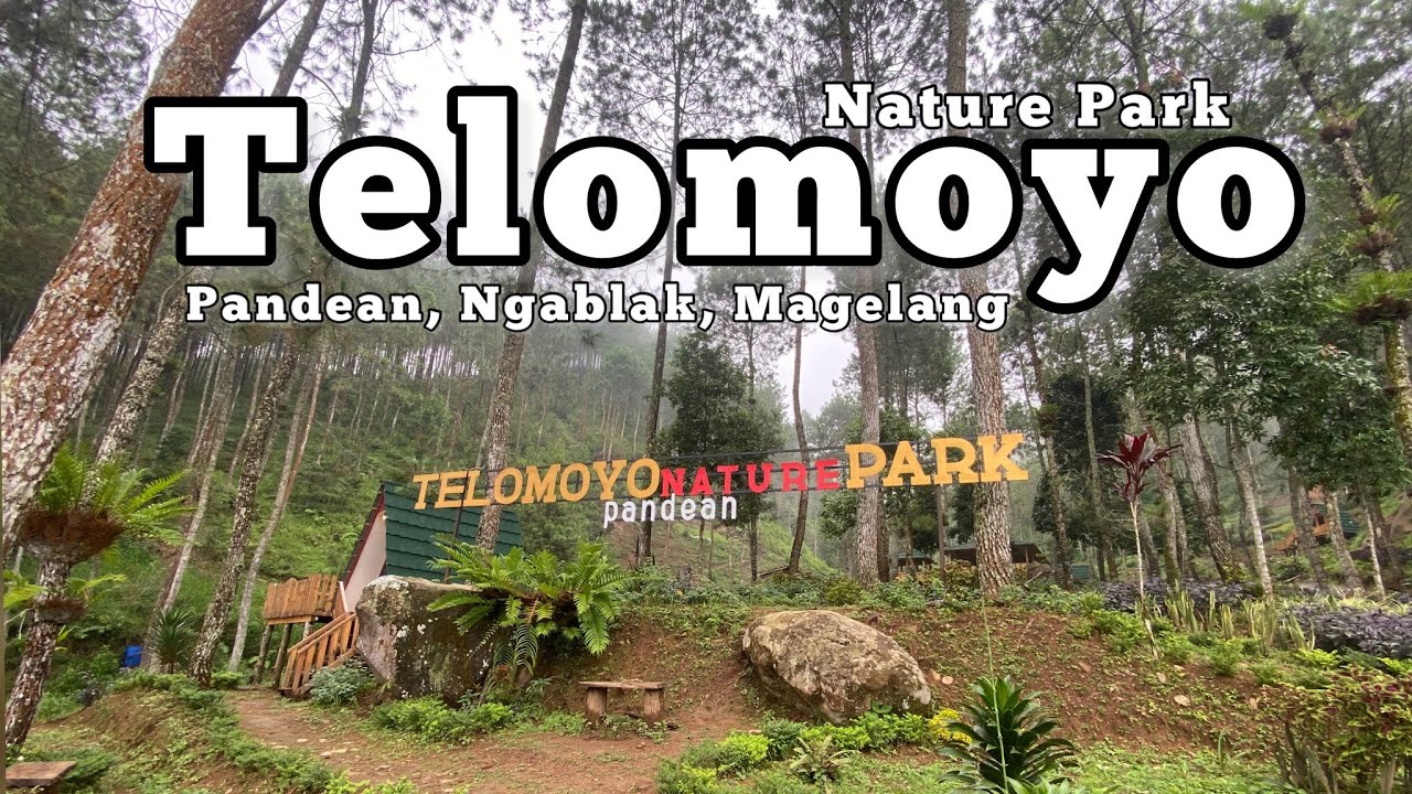 Taman Alam Telomoyo: Surga Keanekaragaman Hayati di Lereng Gunung Berapi